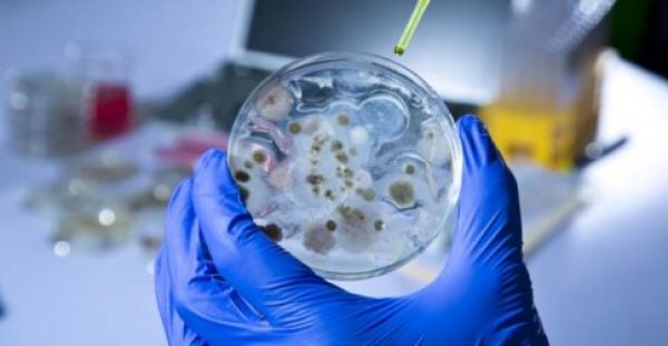 Ολοένα και πιο ανθεκτικά τα βακτήρια στα αντιβιοτικά – Τι λύση προκρίνουν οι επιστήμονες