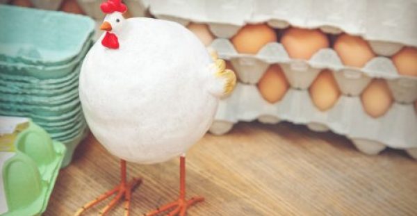 Ποια είναι τα πιο υγιεινά αυγά και γιατί