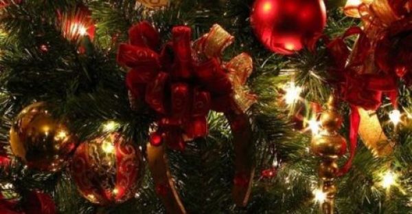 Μήπως είστε αλλεργικοί στο χριστουγεννιάτικο δέντρο και δεν το ξέρετε;