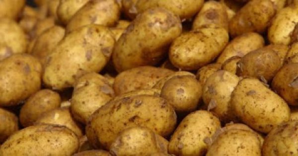 Μεγάλη προσοχή: Αυτές είναι οι πατάτες που ΔΕΝ ΠΡΕΠΕΙ να τρώτε [photo]