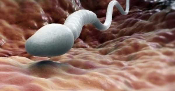 Εννιά πράγματα που σκοτώνουν το σπέρμα!