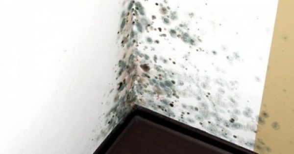 Μούχλα στο σπίτι: Μία σοβαρή απειλή για την υγεία – Διώξτε τη μούχλα από τους τοίχους σας, εύκολα, γρήγορα και οικονομικά με αυτό τον τρόπο…