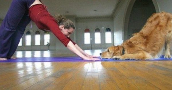 Οι 10 καλύτερες ασκήσεις για yoga στο σπίτι…!