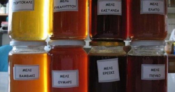 Έρευνα από το ΑΠΘ εξέτασε 48 διαφορετικά ελληνικά μέλια και το αποτέλεσμα ήταν εκπληκτικό! Βρέθηκε το Ελληνικό μέλι με την περισσότερο ευεργετική δράση.