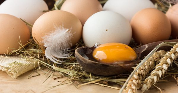 Ολόκληρο αυγό vs ασπράδι: Δείτε τι συνιστούν οι επιστήμονες