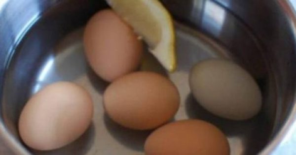 Βράζει αυγά και ρίχνει μέσα μια φέτα λεμόνι – Ο λόγος; Πανέξυπνος! [Βίντεο]