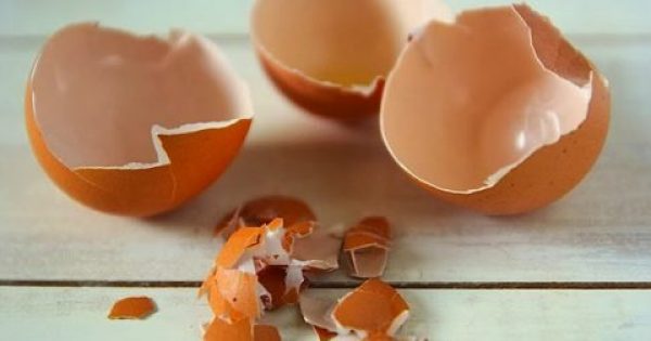 Μην πετάτε τα τσόφλια των αυγών… Δείτε γιατί είναι πολύ χρήσιμα!