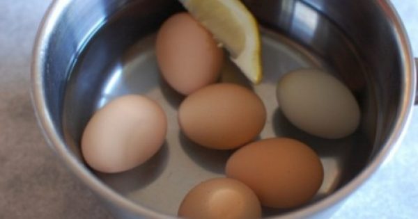 Βάζει τα αυγά να Βράσουν και Ρίχνει μέσα μία Φέτα Λεμόνι. Ο λόγος; Πανέξυπνος!