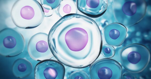 Βλαστοκύτταρα: Ένα βήμα πιο κοντά στη θεραπεία της υπογονιμότητας;