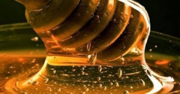 Εντοπίστηκαν 13 ζωντανά βακτήρια στο ανεπεξέργαστο μέλι που σκοτώνουν μικρόβια