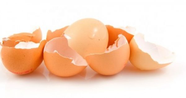 Δείτε πως μπορούν να σας φανούν χρήσιμα τα τσόφλια των αυγών !!