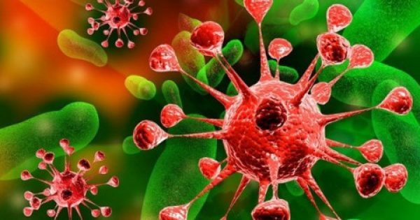 Featured Image for Δείτε τι τρέφει και τι σκοτώνει τον καρκίνο σύμφωνα με τους επιστήμονες