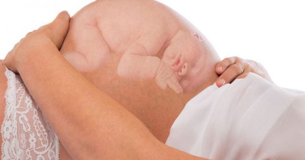 Ανάπτυξη εμβρύου: Πότε αρχίζουν να σχηματίζονται τα χαρακτηριστικά του προσώπου του;