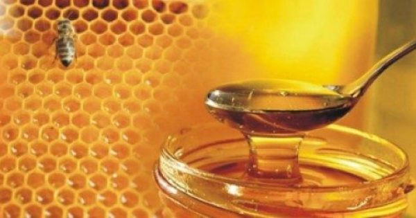 Featured Image for Εκπληκτικό! Έρευνα του Α.Π.Θ. εξέτασε 48 διαφορετικά ελληνικά μέλια. Δείτε ποιο μέλι είναι το καλύτερο για την υγεία!!
