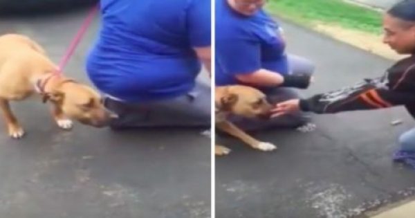 Σκύλος μυρίζει τον ιδιοκτήτη του 2 χρόνια μετά την ημέρα που τον έκλεψαν. Η αντίδραση τους μιλάει από μόνη της!