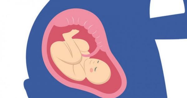 Eγκυμοσύνη: 9 facts που πρέπει να γνωρίζετε για τον πλακούντα!!!
