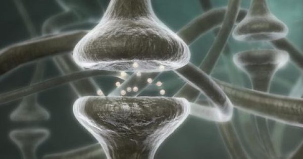 Πώς οι σκέψεις μας αλλάζουν τον εγκέφαλο, τα κύτταρα και τα γονίδιά μας