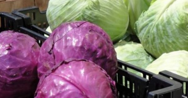 9 εκπληκτικά, διατροφικά οφέλη του λάχανου