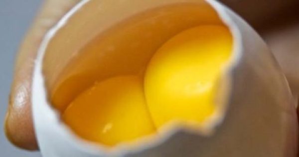 Υπάρχει εξήγηση… Να πώς οι κότες κάνουν δίκροκα αβγά