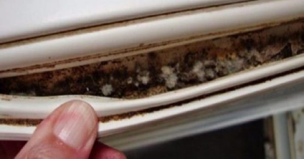 Πως να καθαρίσετε το λάστιχο του ψυγείου από μούχλα και βρωμιές