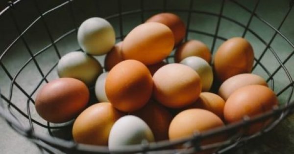 Ποια είναι η διαφορά μεταξύ άσπρων και καφέ αυγών