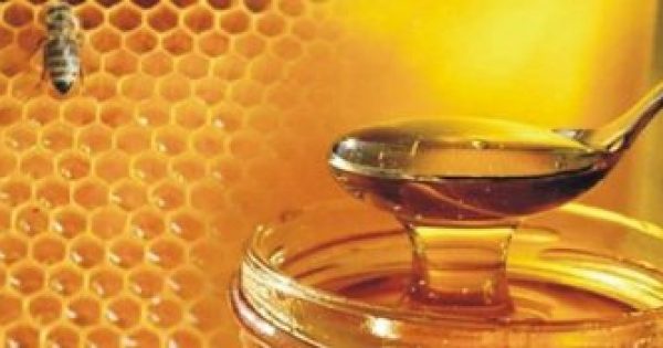 Έρευνα από το Α.Π.Θ. που εξέτασε 48 διαφορετικά μέλια – Δείτε ποιο είναι το καλύτερο για την υγεία μας!