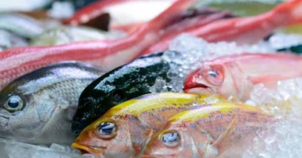 Featured Image for Πόσες μέρες θεωρούνται φρέσκα τα ψάρια