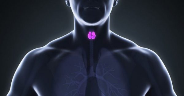 Featured Image for Θυρεοειδής: Πότε επιβαρύνει τη λειτουργία της καρδιάς!!!