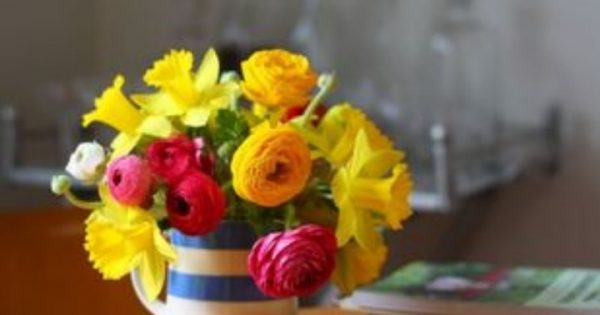 Τα λουλούδια στο σπίτι μειώνουν τα επίπεδα πόνου και στρες