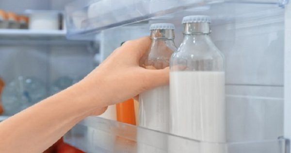 Featured Image for Γιατί πρέπει να MHN βάζετε το γάλα στην πόρτα του ψυγείου το καλοκαίρι