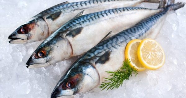 Featured Image for Ποια ψάρια προστατεύουν από τον διαβήτη και ποια όχι
