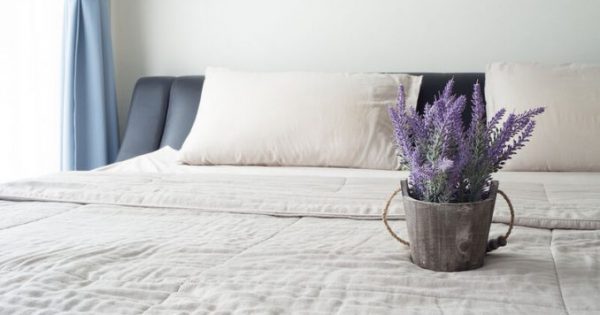 Featured Image for 6 φυτά εσωτερικού χώρου που εγγυώνται καλύτερο ύπνο