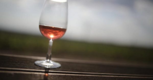 Featured Image for Ένα ποτήρι κόκκινο κρασί μας… αδυνατίζει όσο μια ώρα στο γυμναστήριο! Δείτε πως