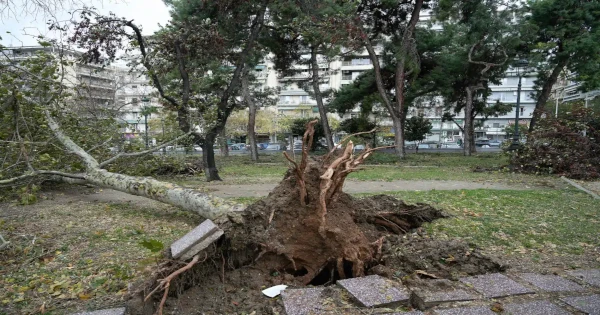 Featured Image for Θεσσαλονίκη σε συναγερμό: Κηρύχθηκε σε κατάσταση έκτακτης ανάγκης – Εικόνες καταστροφής και σκηνές αποκάλυψης